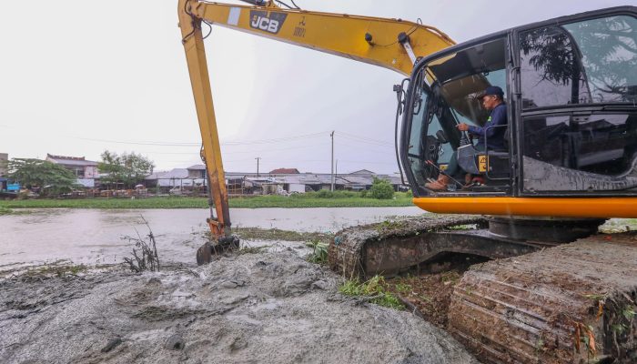 Inovasi UNDIP untuk Pantura: Hybrid Sea Wall Cegah Rob dan Banjir di Pesisir Demak