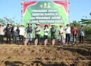 Dukung Ketahanan Pangan Nasional, Wali kota Semarang Akan Optimalkan Lahan Tidur untuk Ditanami Jagung 