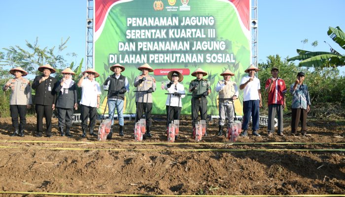 Dukung Ketahanan Pangan Nasional, Wali kota Semarang Akan Optimalkan Lahan Tidur untuk Ditanami Jagung 