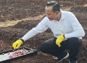 Lapas Semarang Tanam Bawang Merah Varietas Unggulan demi Wujudkan Kemandirian Pangan