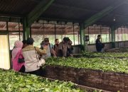 Agro Wisata Tambi Wonosobo Terima Visitasi Lapangan Tim Kemenpar dan Juri Wonderful Indonesia Award 2025