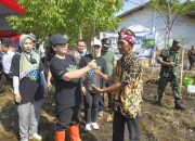 Dukung Mageri Segoro, Wali kota Semarang, Agustina Wilujeng Gerakkan Tanam Cemara Laut di Pesisir Semarang