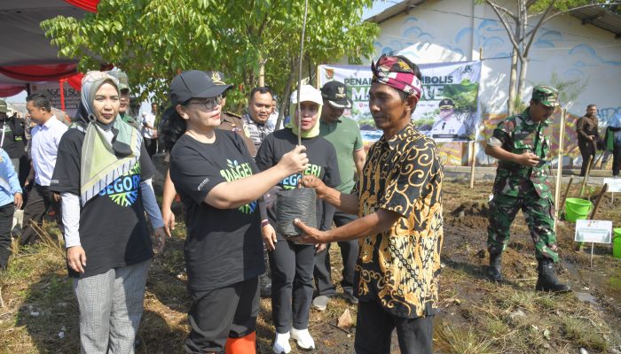 Dukung Mageri Segoro, Wali kota Semarang, Agustina Wilujeng Gerakkan Tanam Cemara Laut di Pesisir Semarang