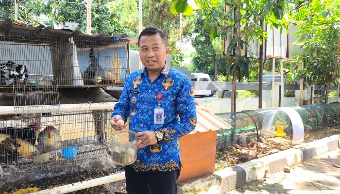 Tekan Stunting, Kecamatan Semarang Barat Kembangkan Taman Edukasi Ayam KUB