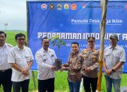Gerakan Desa Hijau Dimulai dari Mojoagung Grobogan: Tanam Alpukat, Bangun Masa Depan Lingkungan dan Pangan