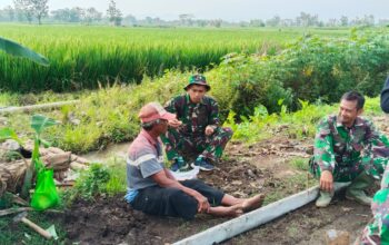Filosofi Asah Asih Asuh di TMMD 128: Perjuangan Ayah di Sragen Mengantarkan Buah Hati ke Perguruan Tinggi