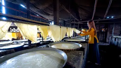 Harga Pulp Diproyeksi US$550/Ton pada 2027, INKP Hadapi Tekanan