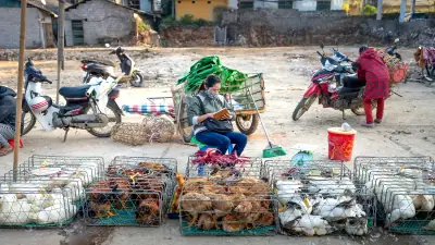 Bapanas Siapkan Subsidi Angkut untuk Stabilkan Harga Ayam