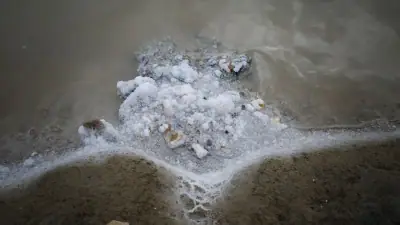 Lithium Argentina Rencanakan Ekspansi 45.000 Ton per Tahun di Cauchari-Olaroz