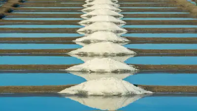 Patagonia Lithium Tuntaskan Uji Pompa 72 Jam di Cilon