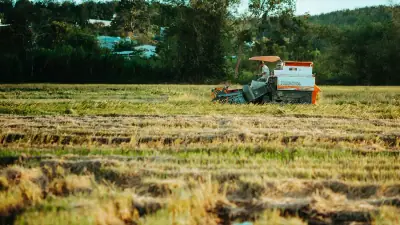 Produksi Padi Jatim Diproyeksi 10,2 Juta Ton GKG hingga November