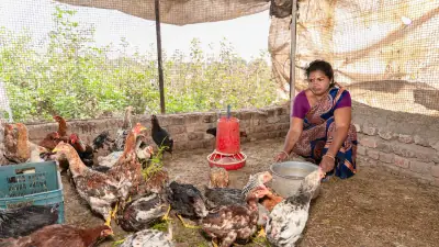 Kementan dan Pemda Perkuat Pengawasan Pasokan Telur Ayam Ras