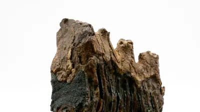 Tender Ferromolibdenum Changzhou Dipatok 341.920 Yuan per Ton