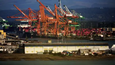 Proyek Tembaga C&D di Qingdao Mulai Operasi, Kapasitas 400.000 mt