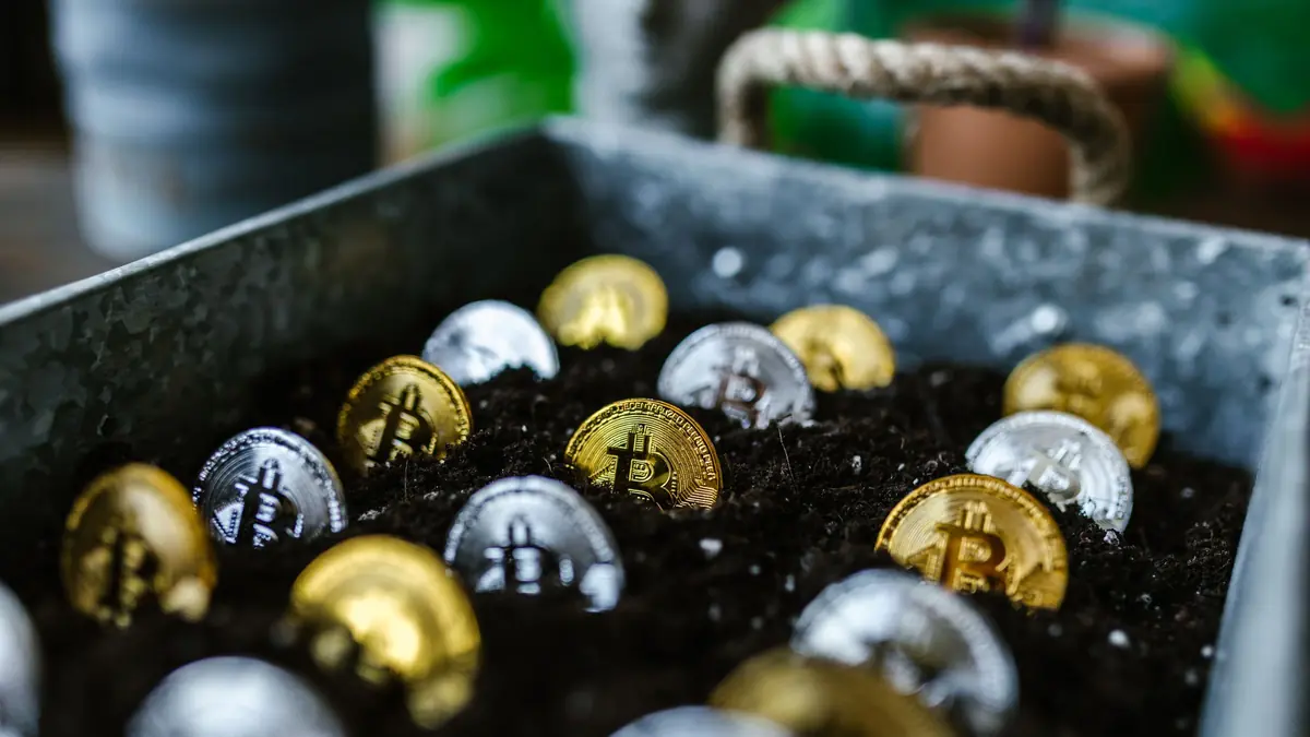 Pemegang BTC Kaya Beralih ke Pinjaman dan Imbal Hasil: Xapo
