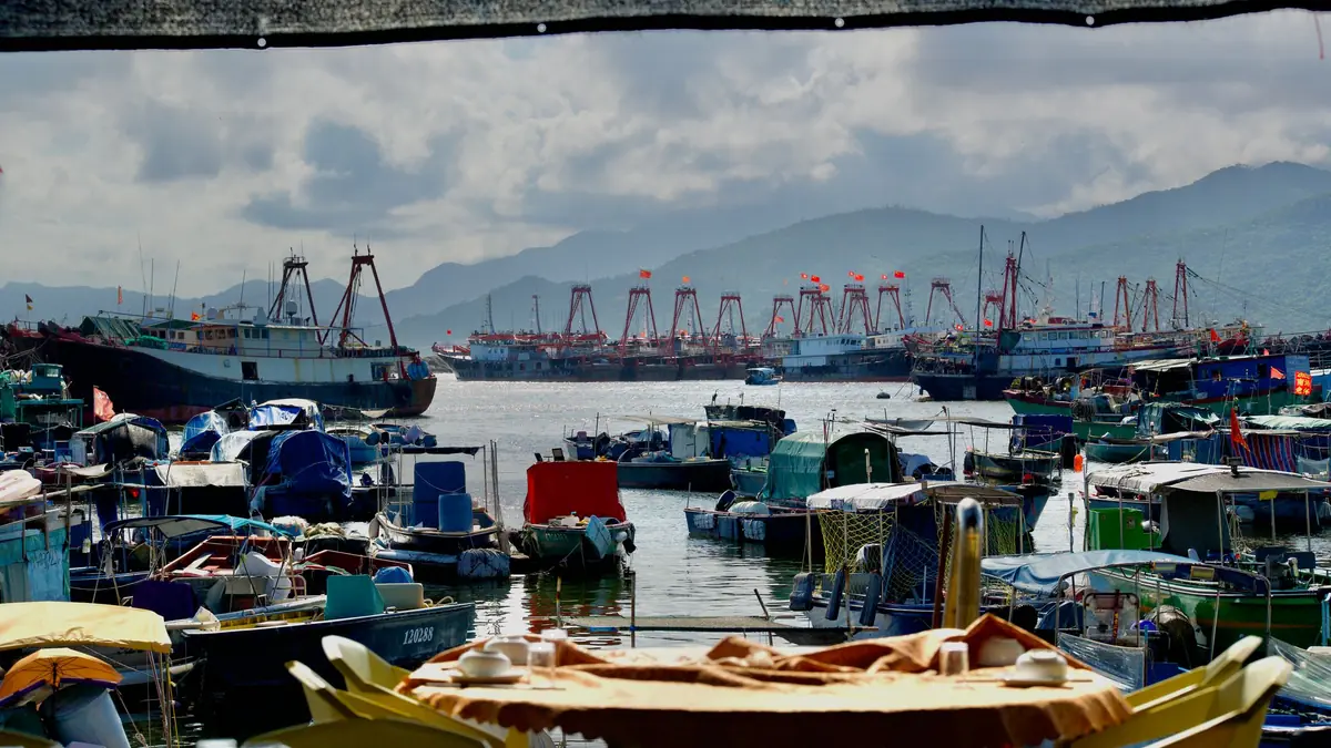 Kedatangan Batu Bara China Turun 4% WoW Jadi 8,1 Juta Ton
