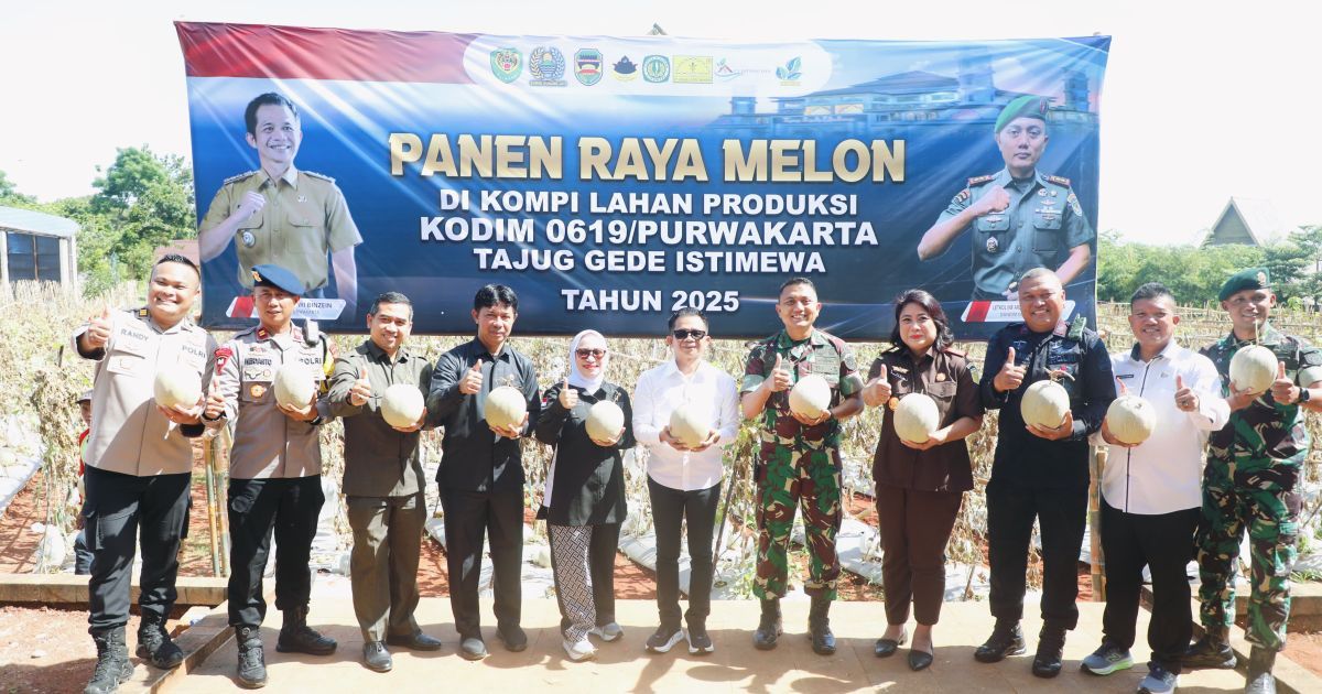 Panen Raya Melon Kodim 0619/Purwakarta, Langkah Wujudkan Sentra Hortikultura