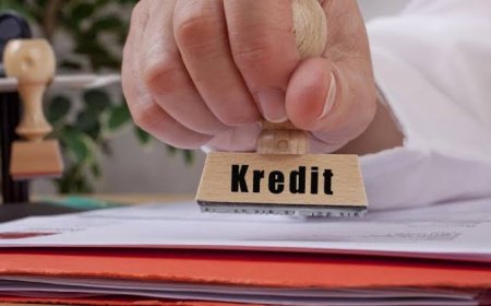 Peratin di Pesisir Barat Diduga Ajukan Kredit Fiktif Mengatasnamakan Aparatur Pekon