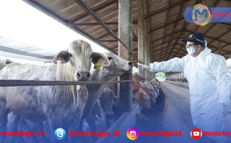 Samsudin Tinjau Vaksinasi Massal PMK di Lampung Tengah