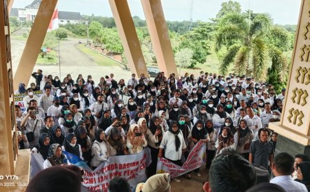 Geruduk Kantor DPRD dan Pemda, Ratusan Honorer Tulangbawang Barat Tuntut Kepastian Status