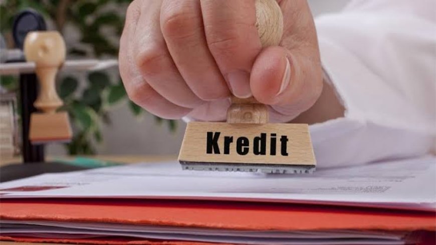 Peratin di Pesisir Barat Diduga Ajukan Kredit Fiktif Mengatasnamakan Aparatur Pekon