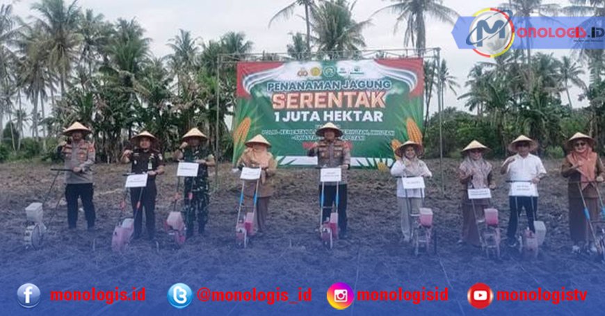 Pemkab dan Forkopimda Lampung Selatan Tanam Jagung Dukung Swasembada Pangan