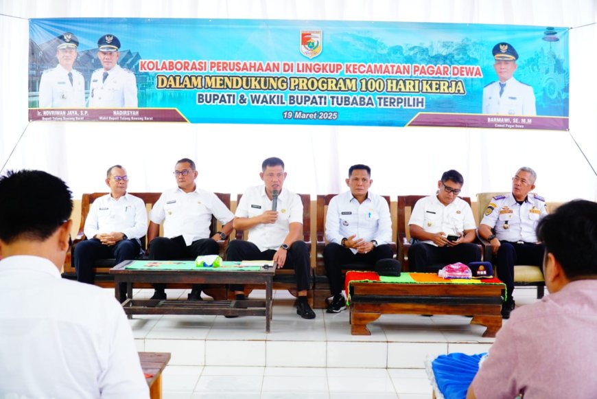 Nadirsyah Ajak Swasta Kolaborasi Bangun Infrastruktur Jalan di Tulangbawang Barat