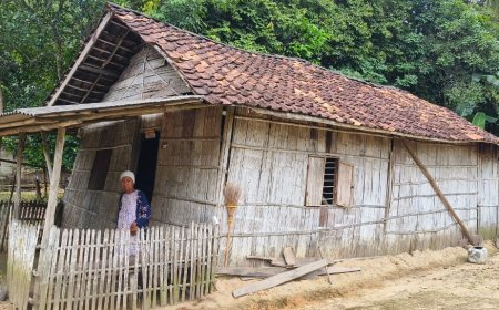 Viral Diberitakan, Lansia di Tulangbawang Barat Ramai Dapat Perhatian