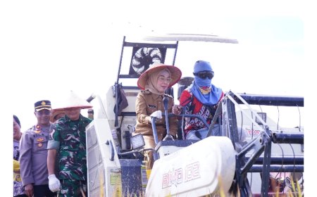 Waykanan Dukung Swasembada Pangan Nasional