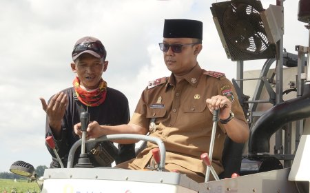 Lampung Tengah Jadi Pusat Panen Raya Padi Serentak 14 Provinsi