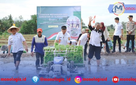 Pemprov Lampung Targetkan 3,5 Juta Ton Padi di 2025