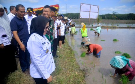 Mesuji Jadi Salah Satu Lokasi Tanam Padi Serentak 14 Provinsi