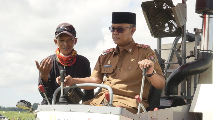 Lampung Tengah Jadi Pusat Panen Raya Padi Serentak 14 Provinsi