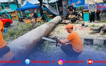 Pohon Tumbang dan Tembok Roboh Akibat Cuaca Ekstrem di Bandarlampung