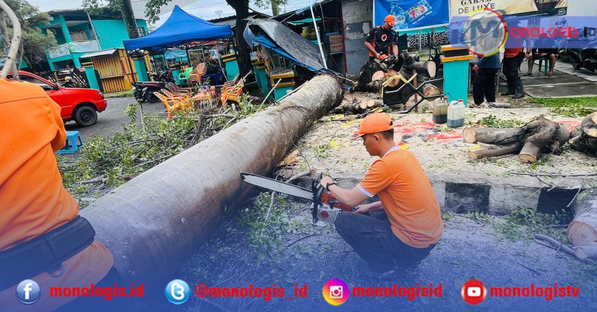 Pohon Tumbang dan Tembok Roboh Akibat Cuaca Ekstrem di Bandarlampung