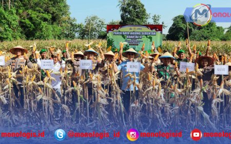 Lampung Selatan Panen Raya Jagung