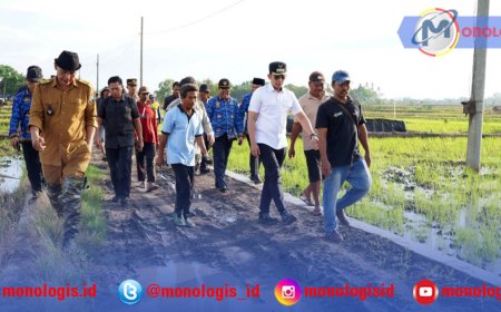 Bupati Lampung Selatan Tinjau Lokasi Pertanian Modern Desa Trimomukti