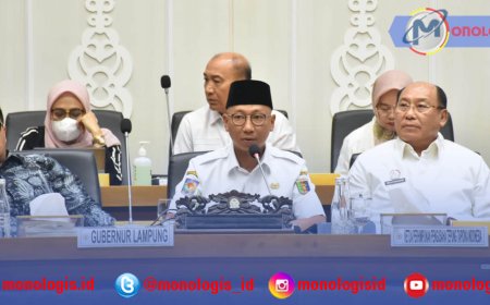Gubernur Lampung Perjuangkan Harga Singkong di DPR RI