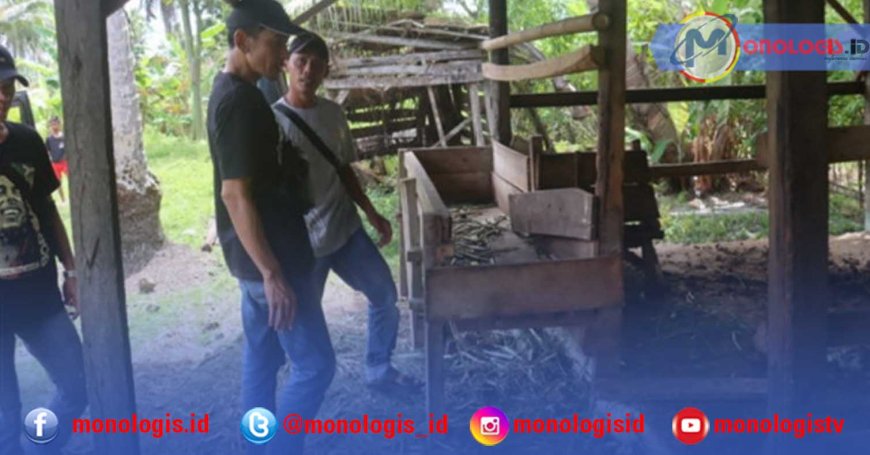 Aksi Kejar-kejaran Warnai Penangkapan Pencuri Ternak