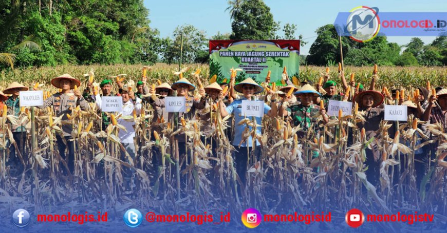 Lampung Selatan Panen Raya Jagung