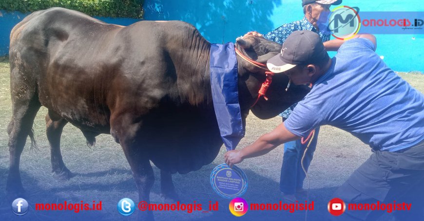 Wali Kota Bandarlampung Serahkan 93 Hewan Kurban