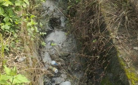 Camat Tulangbawang Tengah Segera Tindak Tegas Dapur MBG yang Cemari Lingkungan