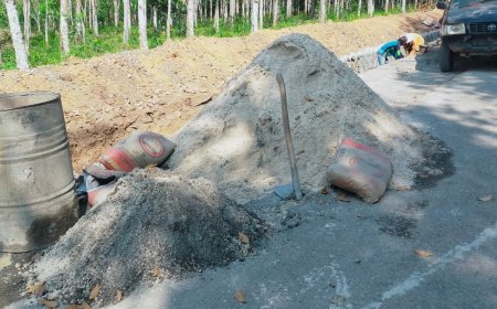 Rp29 Miliar Berpotensi di Korupsi, BPK dan Jampidus Diminta Periksa Proyek Jalan Tulangbawang Barat-Waykanan