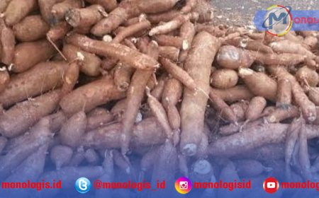 Harga Singkong Bakal Terus Tergerus