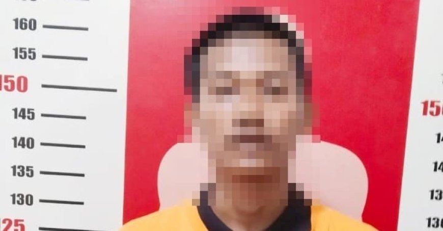 Polsek Denteteladas Tangkap DPO Curanmor