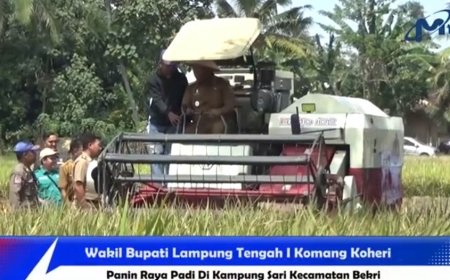 Wabup Lampung Tengah Panen Raya Padi di Bekri