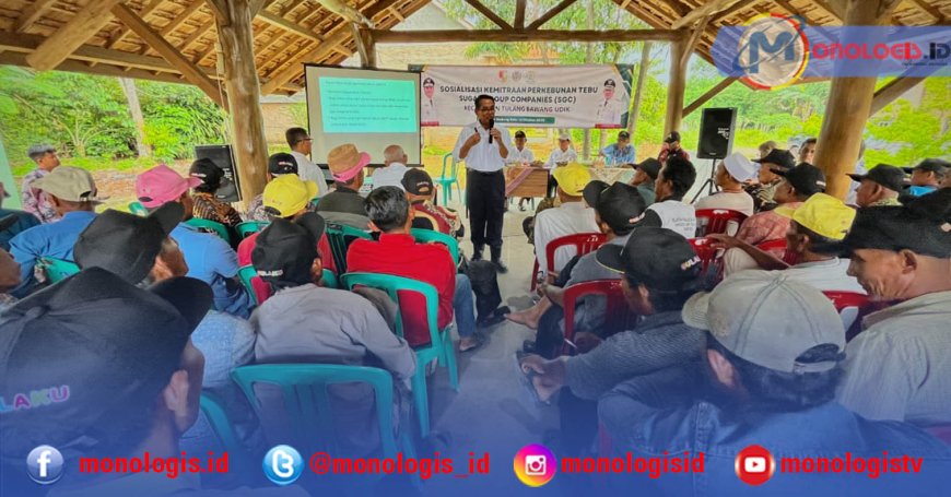 Harga Singkong Anjlok, SGC Tawarkan Petani Tanam Tebu