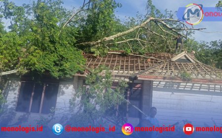 Angin Kencang Landa Mesuji, Pohon Besar Timpa Rumah Warga
