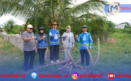 Unila Hasilkan Singkong Unggul dengan Inovasi Teknik Sambung