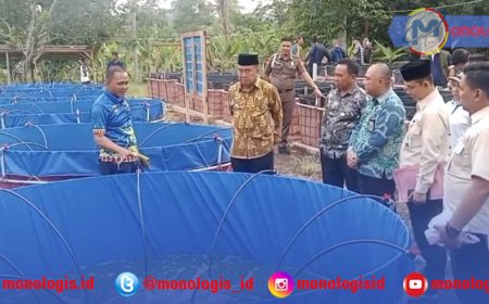 Bupati Tanggamus Tinjau Project Integrated Farming di Way Jaha